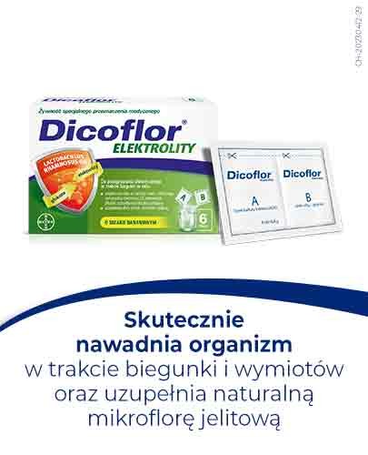 Dicoflor Elektrolity proszek 6 porcji