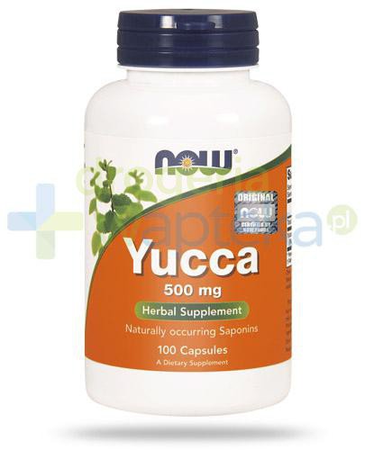 podgląd produktu NOW Foods Yucca 500mg 100 kapsułek