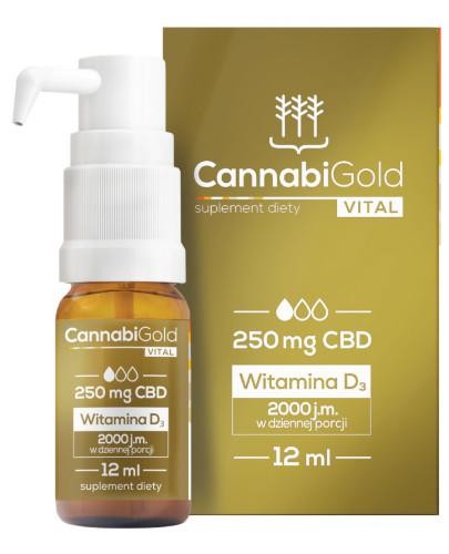 podgląd produktu CannabiGold Vital 250 mg CBD + Witamina D3 2000 olejek 12 ml