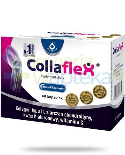 Collaflex kolagen typu II + kwas hialuronowy + chondroityna 60 kapsułek 