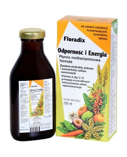 Floradix Odporność i Energia 250 ml 