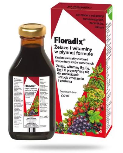 podgląd produktu Floradix żelazo i witaminy płyn 250 ml