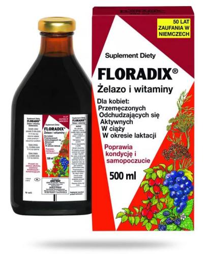 Floradix żelazo i witaminy płyn 500 ml 